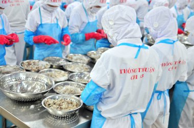 Phan Rang, Vietnam - 29 Aralık 2014: İşçi peeling ve Vietnam bir deniz ürünleri fabrikasında taze çiğ karides işleme