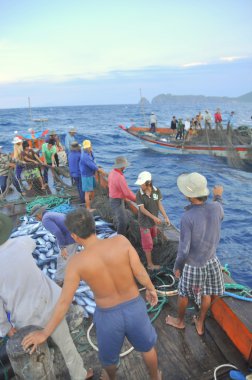 Nha Trang, Vietnam - 5 Mayıs 2012: Balıkçı orkinos sürütme ağları Nha Trang defne deniz tarafından yakalanan balık topluyorlar