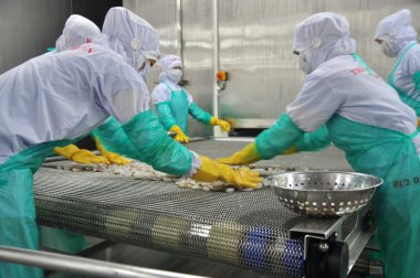 Phan Rang, Vietnam - 29 Aralık 2014: İşçi karides Vietnam bir deniz ürünleri fabrikasında dondurma makinesi satırdaki ayarlıyor