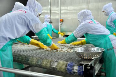 Phan Rang, Vietnam - 29 Aralık 2014: İşçi karides Vietnam bir deniz ürünleri fabrikasında dondurma makinesi satırdaki ayarlıyor