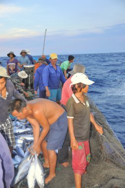 Nha Trang, Vietnam - 5 Mayıs 2012: Balıkçı orkinos sürütme ağları Nha Trang defne deniz tarafından yakalanan balık topluyorlar