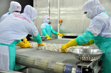Phan Rang, Vietnam - 29 Aralık 2014: İşçi karides Vietnam bir deniz ürünleri fabrikasında dondurma makinesi satırdaki ayarlıyor