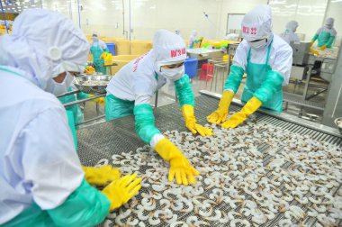 Phan Rang, Vietnam - 29 Aralık 2014: İşçi karides Vietnam bir deniz ürünleri fabrikasında dondurma makinesi satırdaki ayarlıyor