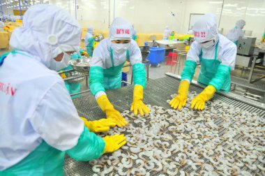 Phan Rang, Vietnam - 29 Aralık 2014: İşçi karides Vietnam bir deniz ürünleri fabrikasında dondurma makinesi satırdaki ayarlıyor