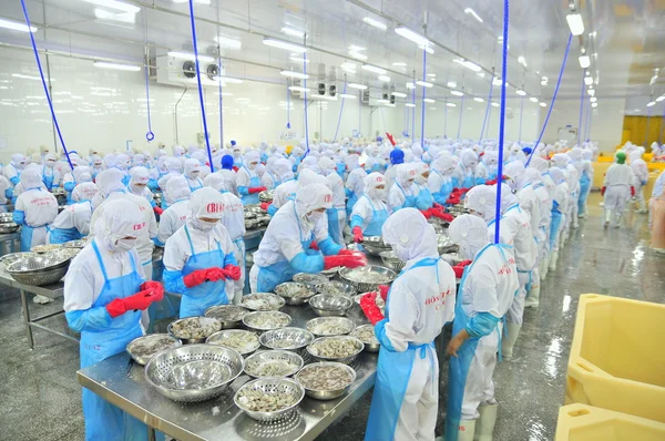 Phan Rang, Vietnam - 29 Aralık 2014: İşçi peeling ve Vietnam bir deniz ürünleri fabrikasında taze çiğ karides işleme