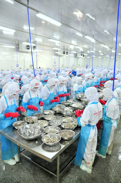 Phan Rang, Vietnam - 29 Aralık 2014: İşçi peeling ve Vietnam bir deniz ürünleri fabrikasında taze çiğ karides işleme