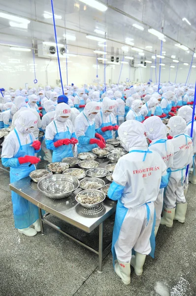 Phan Rang, Vietnam - December 29, 2014: Workers are peeling and processing fresh raw shrimps in a seafood factory in Vietnam — Stock Photo, Image