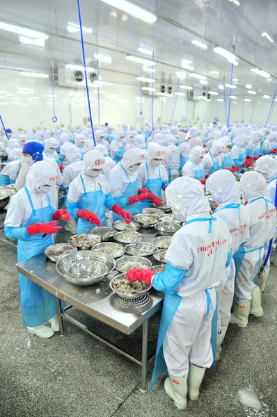 Phan Rang, Vietnam - 29 de diciembre de 2014: Los trabajadores están pelando y procesando camarones crudos frescos en una fábrica de mariscos en Vietnam — Foto de Stock