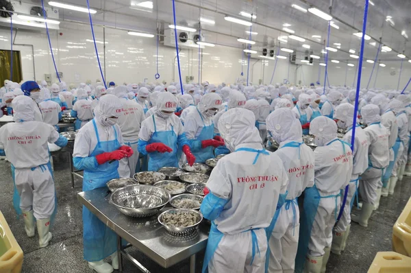 Phan Rang, Vietnam - 29 dicembre 2014: I lavoratori sbucciano e trasformano gamberetti freschi crudi in una fabbrica di frutti di mare in Vietnam — Foto Stock