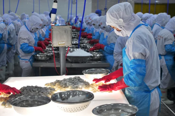 Phan Rang, Vietnam - 29 Aralık 2014: Bir işçi Vietnam bir deniz ürünleri fabrikasında dışa aktarmak için renk işleme karides denetliyor