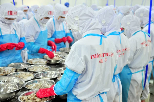 Phan Rang, Vietnam - 29 de diciembre de 2014: Los trabajadores están pelando y procesando camarones crudos frescos en una fábrica de mariscos en Vietnam — Foto de Stock