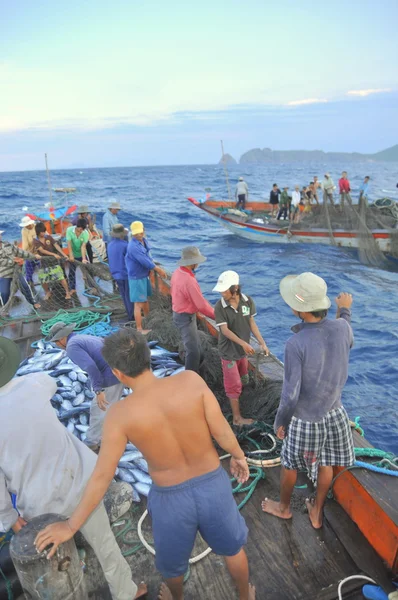 Nha Trang, Vietnã - 5 de maio de 2012: Pescadores estão coletando atum capturado por redes de arrasto no mar da baía de Nha Trang — Fotografia de Stock