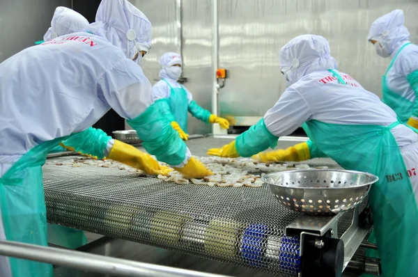 Phan Rang, Vietnam - 29 de diciembre de 2014: Los trabajadores están organizando camarones en línea con la máquina de congelación en una fábrica de mariscos en Vietnam — Foto de Stock