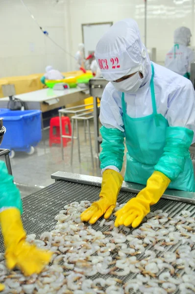 Phan Rang, Vietnam - 29 dicembre 2014: I lavoratori stanno organizzando gamberetti in linea con la macchina congelatrice in una fabbrica di frutti di mare in Vietnam — Foto Stock