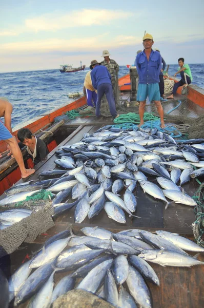 Nha Trang, Vietnam - 5 Mei 2012: Nelayan mengumpulkan ikan tuna yang ditangkap oleh jaring trawl di laut Teluk Nha Trang — Stok Foto