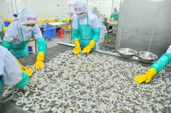 Phan Rang, Vietnam - 29 Aralık 2014: İşçi karides Vietnam bir deniz ürünleri fabrikasında dondurma makinesi satırdaki ayarlıyor