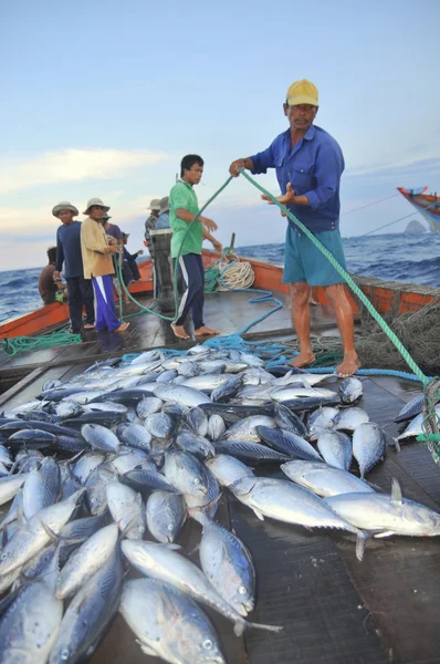 Nha Trang, Vietnam - 5 de mayo de 2012: Los pescadores están recogiendo atún capturado por redes de arrastre en el mar de la bahía de Nha Trang — Foto de Stock