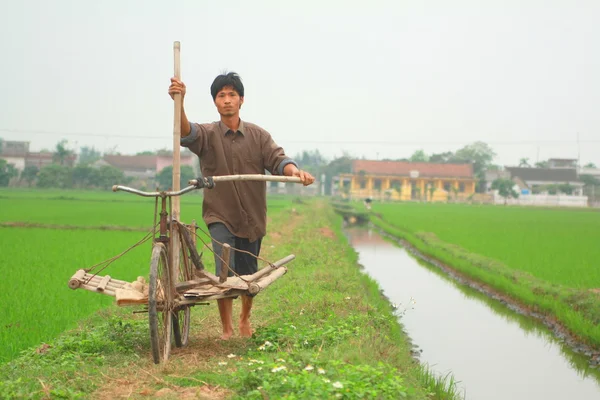Nam Dinh, Vietnam - March 28, 2010: A farmer in the north of vietnam is going to work on his paddy field — стокове фото