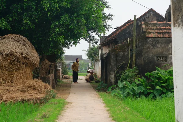 Nam Dinh, Vietnam - March 28, 2010: A pathway to village in a rural area in the countryside of the North of Vietnam — стокове фото