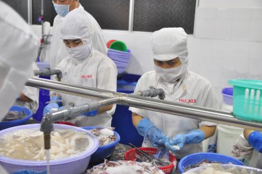 Phan Thiet, Vietnam - 11 Aralık 2014: İşçi Vietnam bir deniz ürünleri fabrikasında dışa aktarmak için mürekkep soyma