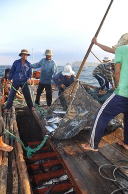 Nha Trang, Vietnam - 5 Mayıs 2012: Balıkçı orkinos sürütme ağları Nha Trang defne deniz tarafından yakalanan balık topluyorlar
