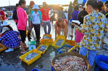 Nha Trang, Vietnam - 5 Ekim 2011: Kadınlar Vinh Luong bağlantı noktası yerel deniz ürünleri pazarında, taze balıklar Satıyoruz