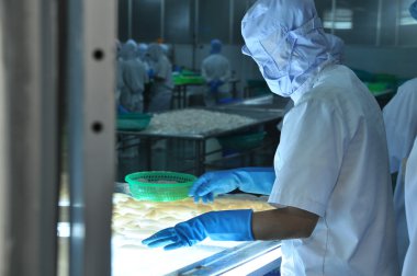 Phan Thiet, Vietnam - 11 Aralık 2014: A işçiler Vietnam bir deniz ürünleri fabrikasında dışa aktarmak için mürekkep rengini test ediyoruz
