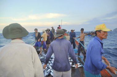 Nha Trang, Vietnam - 5 Mayıs 2012: Balıkçı orkinos sürütme ağları Nha Trang defne deniz tarafından yakalanan balık topluyorlar