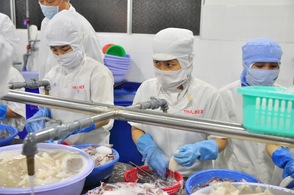 Phan Thiet, Vietnam - 11 dicembre 2014: I lavoratori stanno sbucciando calamari per l'esportazione in una fabbrica di frutti di mare in Vietnam — Foto Stock