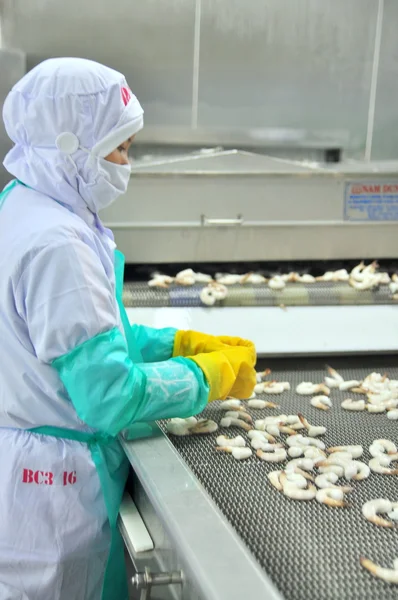 Phan Rang, Vietnam - 29 dicembre 2014: I lavoratori stanno organizzando gamberetti in linea con la macchina congelatrice in una fabbrica di frutti di mare in Vietnam — Foto Stock