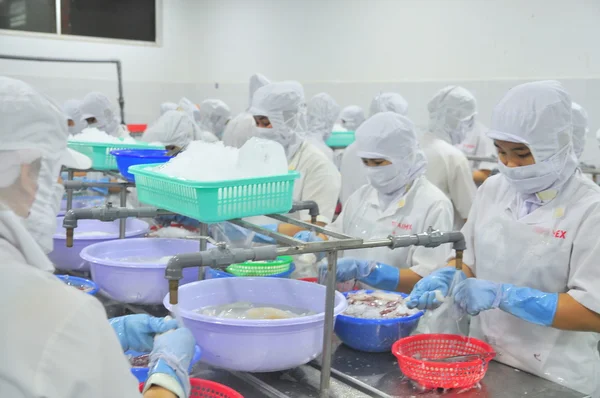 Phan Thiet, Vietnam - 11 dicembre 2014: I lavoratori stanno sbucciando calamari per l'esportazione in una fabbrica di frutti di mare in Vietnam — Foto Stock