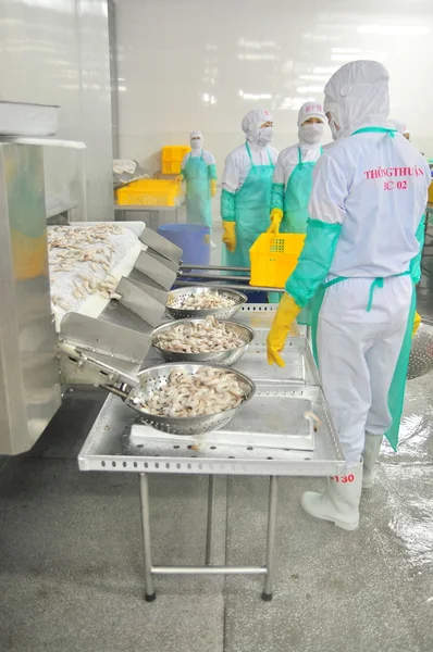 Phan Rang, Vietnam - 29 de diciembre de 2014: Los trabajadores están recolectando camarones congelados para exportar en una fábrica de mariscos en Vietnam — Foto de Stock