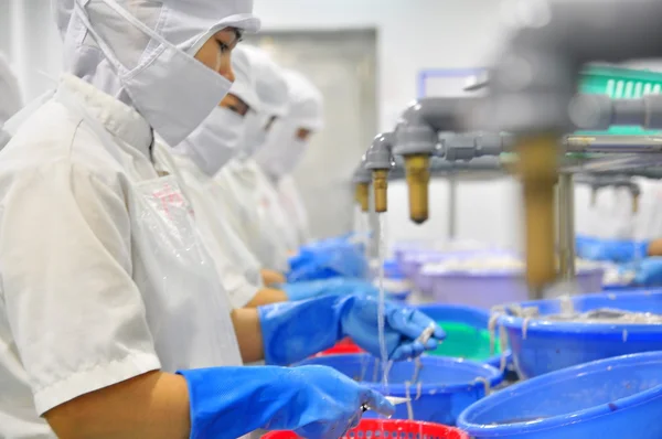 Phan Thiet, Vietnam - 11 dicembre 2014: I lavoratori stanno lavando i calamari per l'esportazione in una fabbrica di frutti di mare in Vietnam — Foto Stock