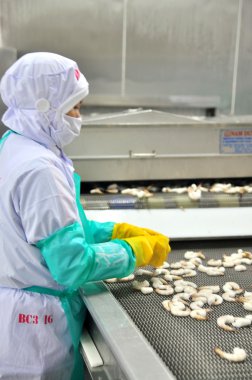 Phan Rang, Vietnam - 29 Aralık 2014: İşçi karides Vietnam bir deniz ürünleri fabrikasında dondurma makinesi satırdaki ayarlıyor