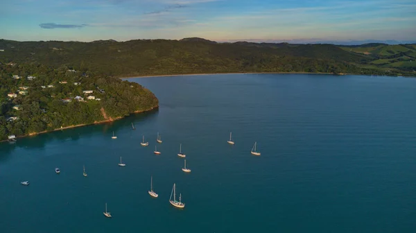 Vista Aérea Rocky Bay Waiheke Island Nova Zelândia — Fotografia de Stock