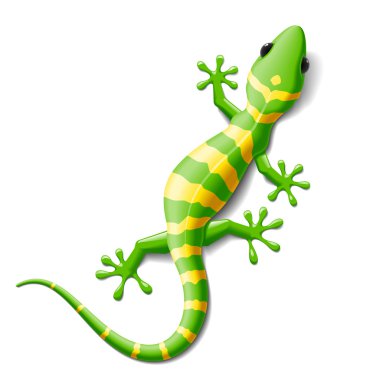 ✓ Small Gecko Free Vector Eps, Cdr, Ai, Svg Vector Illustration Graphic Art
