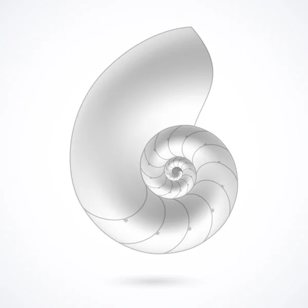 5 849 Nautilus Shell Vector Images Free Royalty Free Nautilus Shell Vectors Depositphotos 5 849 Nautilus Shell Vector Images Free Royalty Free Nautilus Shell Vectors Depositphotos