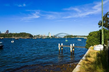 Sydney Harbour Bridge salyangoz Bay BIRC banliyösünde görüldü