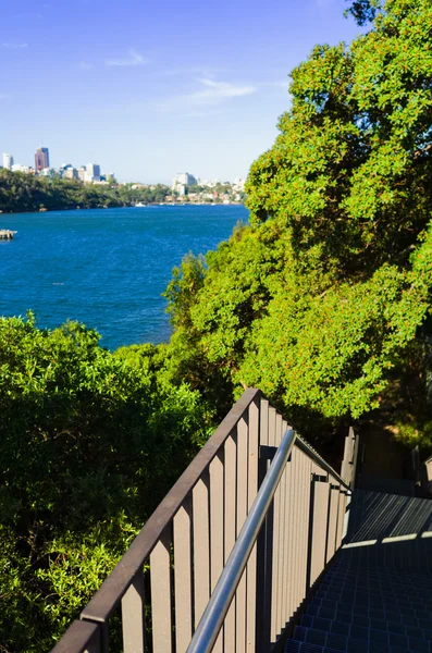 Ballast Point Park Birchgrove Sydney — Stockfoto