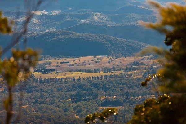 Blue Mountains Australia Paesaggio — Foto Stock