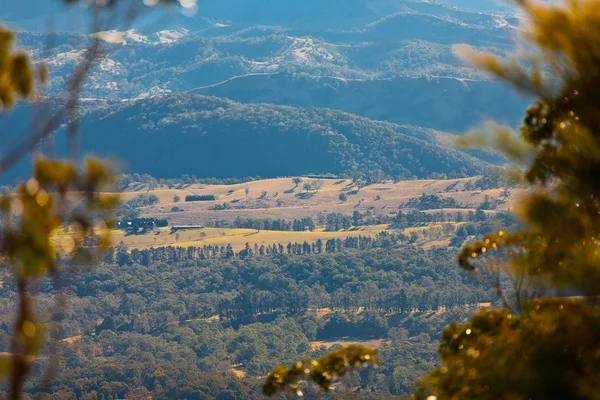 Blue Mountains Avustralya manzara