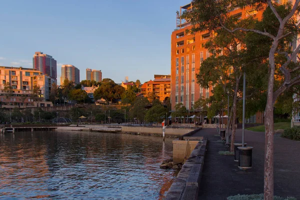 Apartment Buildings Jones Bay Pyrmont Sydney Australia Apartment Blocks Modern — Stock Photo, Image