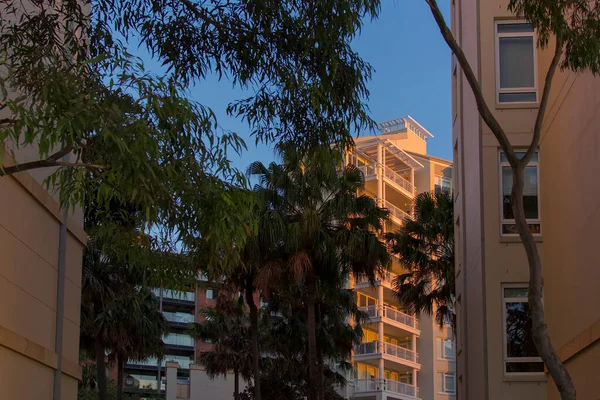 Appartementengebouwen Aan Jones Bay Pyrmont Sydney Australië Appartementenblokken Moderne Buitenwijk — Stockfoto