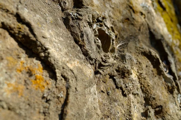 Faccia di roccia — Foto Stock