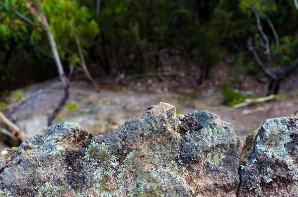 Formations rocheuses dans la brousse australienne — Photo