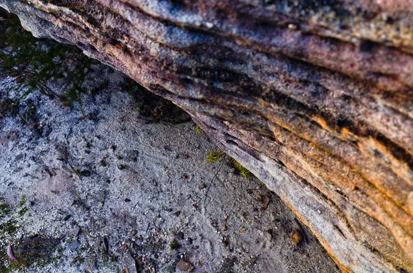 Скельні утворення в австралійському Буша — стокове фото