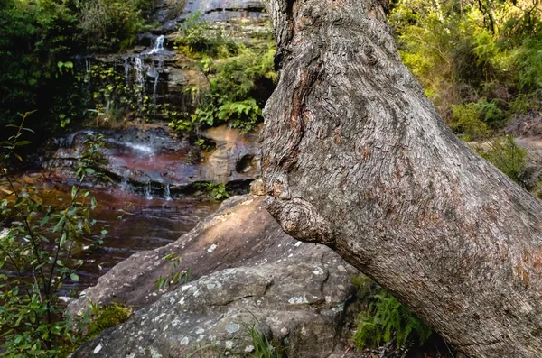 Katarakt spadá v modré hory, Austrálie — Stock fotografie