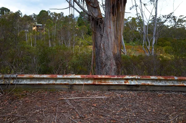 Hierba abandonada Raceway — Foto de Stock