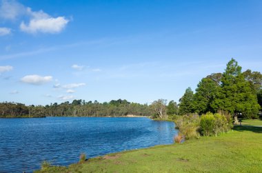 Güzel göl ve çim ve ağaçların landscaped park
