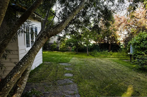 Banliyö yeşil arka bahçesinde bir büyükanne düz